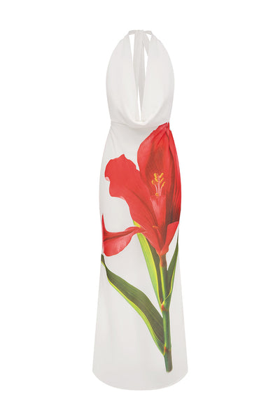 Jasmine Maxi Dress - Red Lily